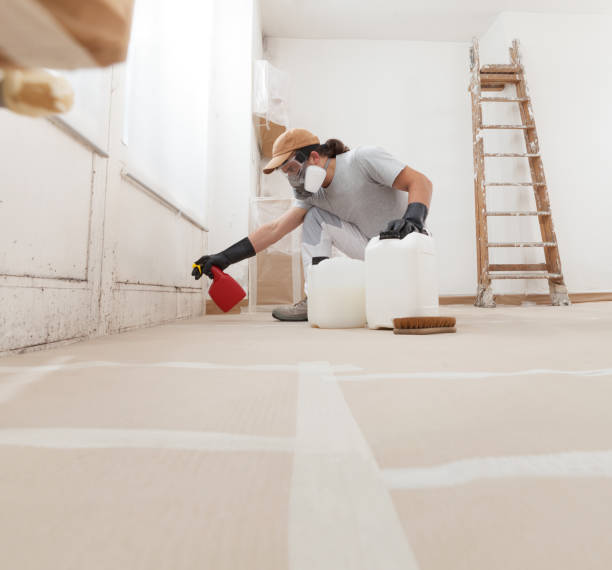 Best Mold Removal for HVAC Installations  in Holiday, FL